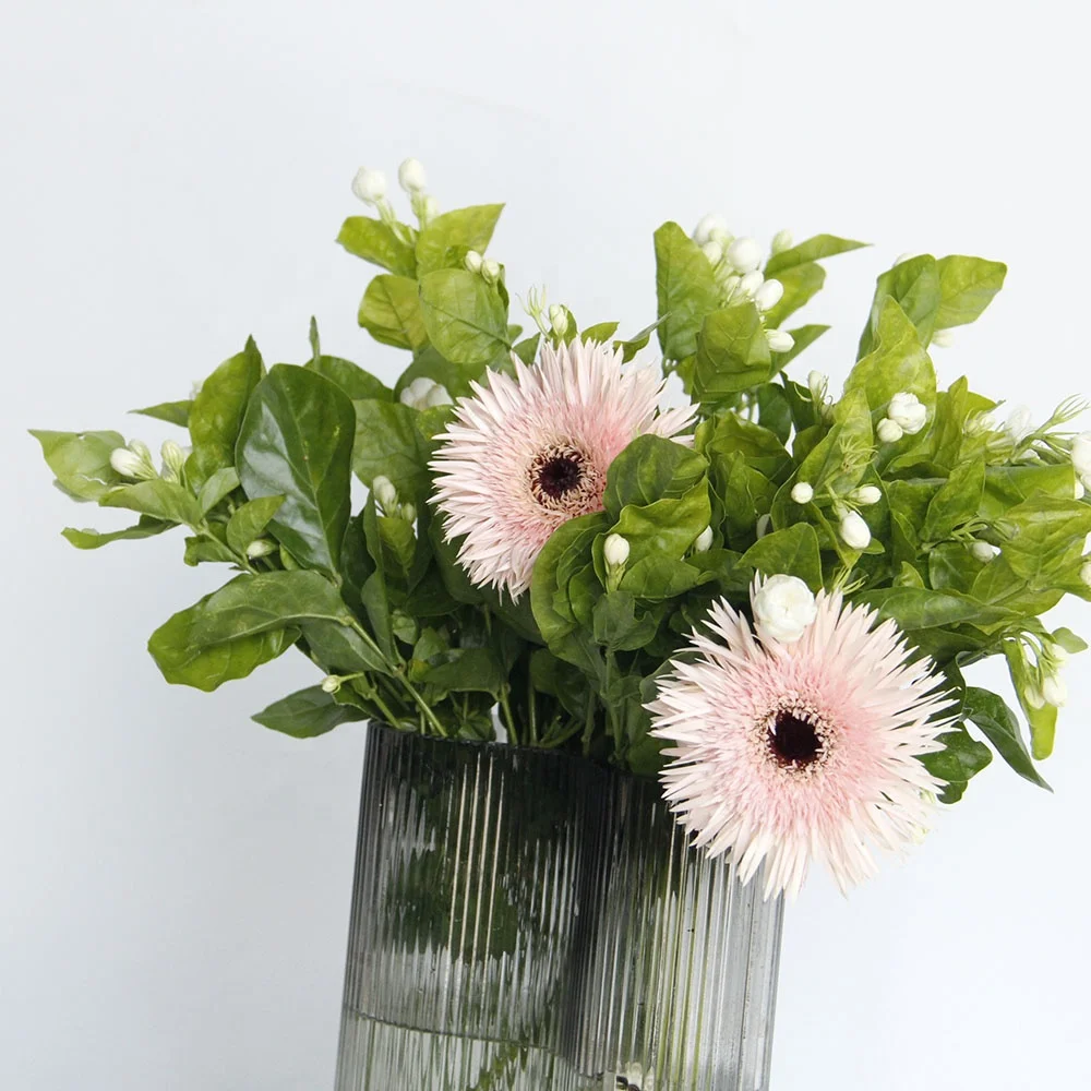 Competitive Price High Quality Jasmine Fresh Cut Flower For Home Wedding Decoration From China