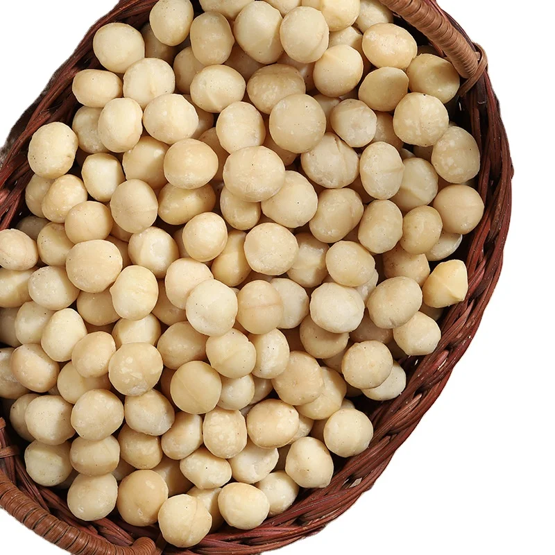 Premium Grade Macadamia Nuts Raw Roasted Nuts Healthy Food Macadamia in Shell 20-25mm