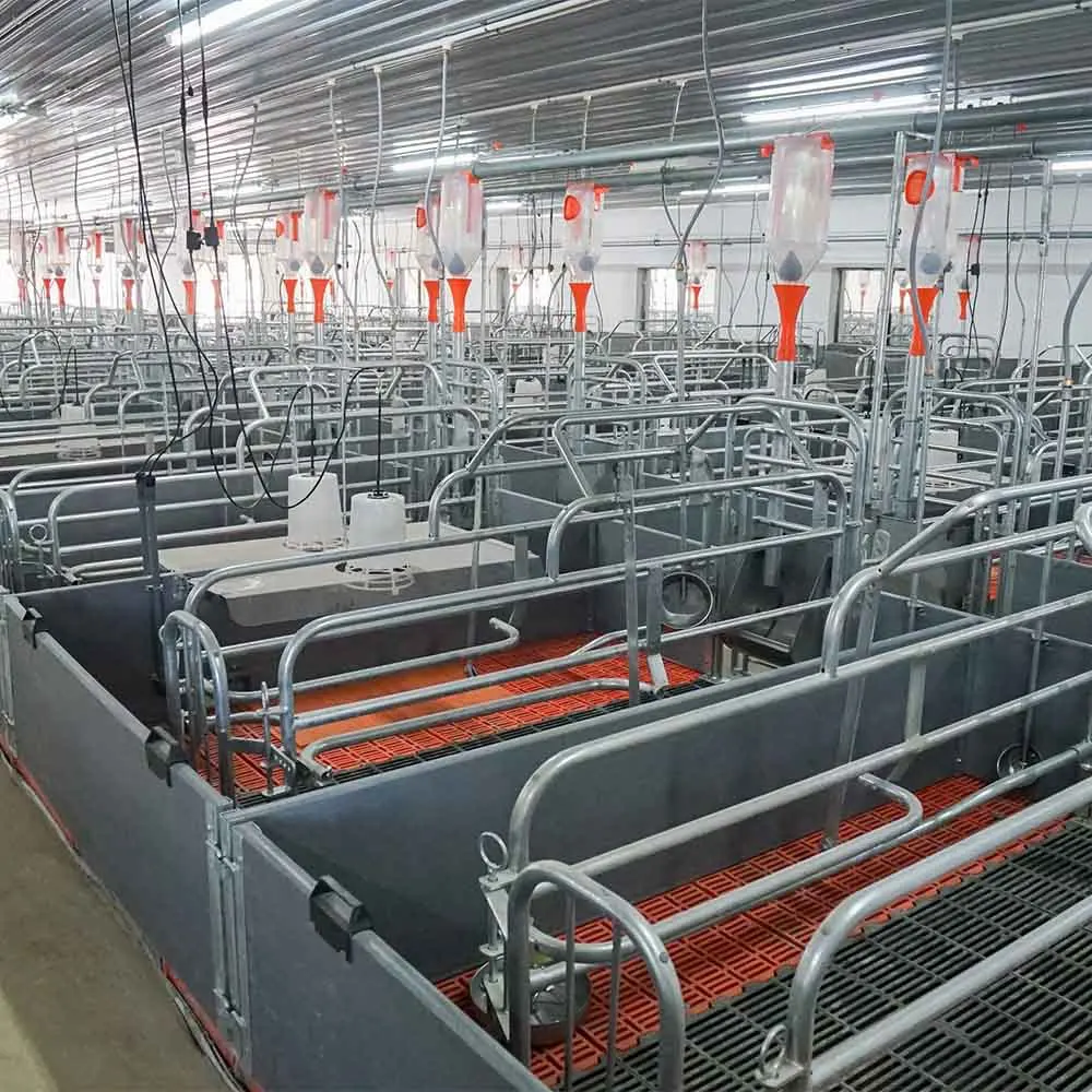 Steel Pig Pens Retail Use Pig Farm Equipment Customized Size Hog Farrowing Cages for Sale