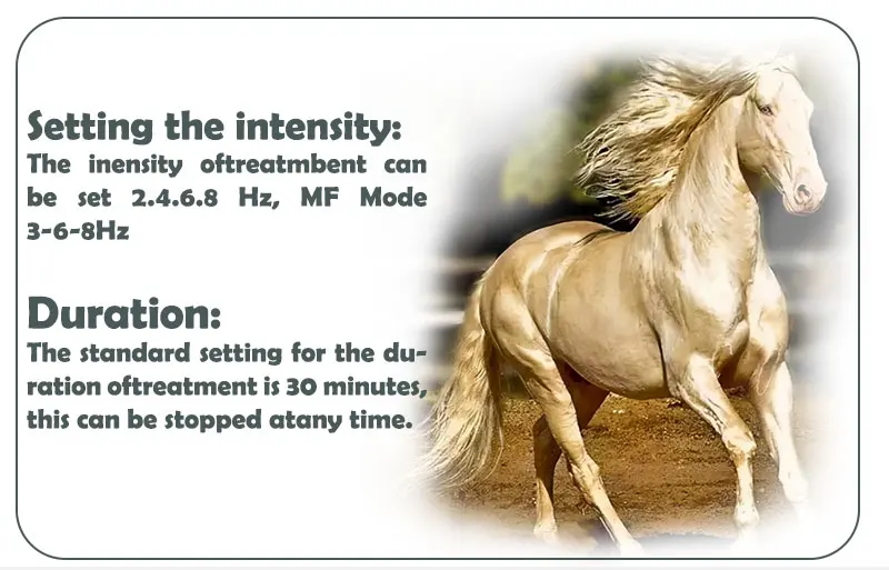 medical devices for horses horse equipment horse stable equipment