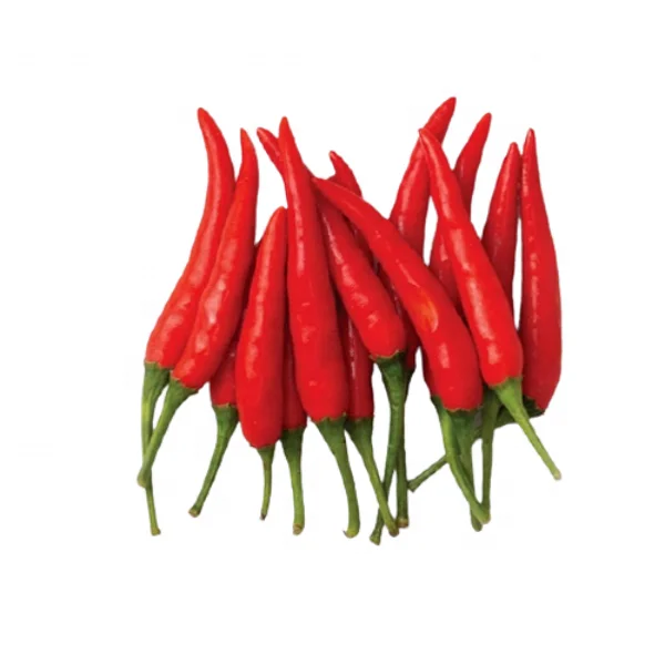 
Fresh vegetables and fruits Red Chili Pepper cheap price 