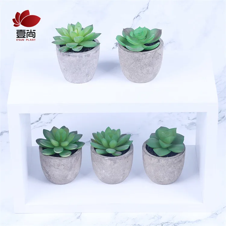 Artificial Succulent Plants Assorted Decorative Faux Succulent Potted Fake Cactus Cacti Plants with Gray Pots Set of 5 ES0845