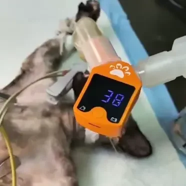 Factory Price Veterinary Hospital Pet Breathing Respiratory Monitor Cat Dog Apnea Sensor Respiratory Monitor