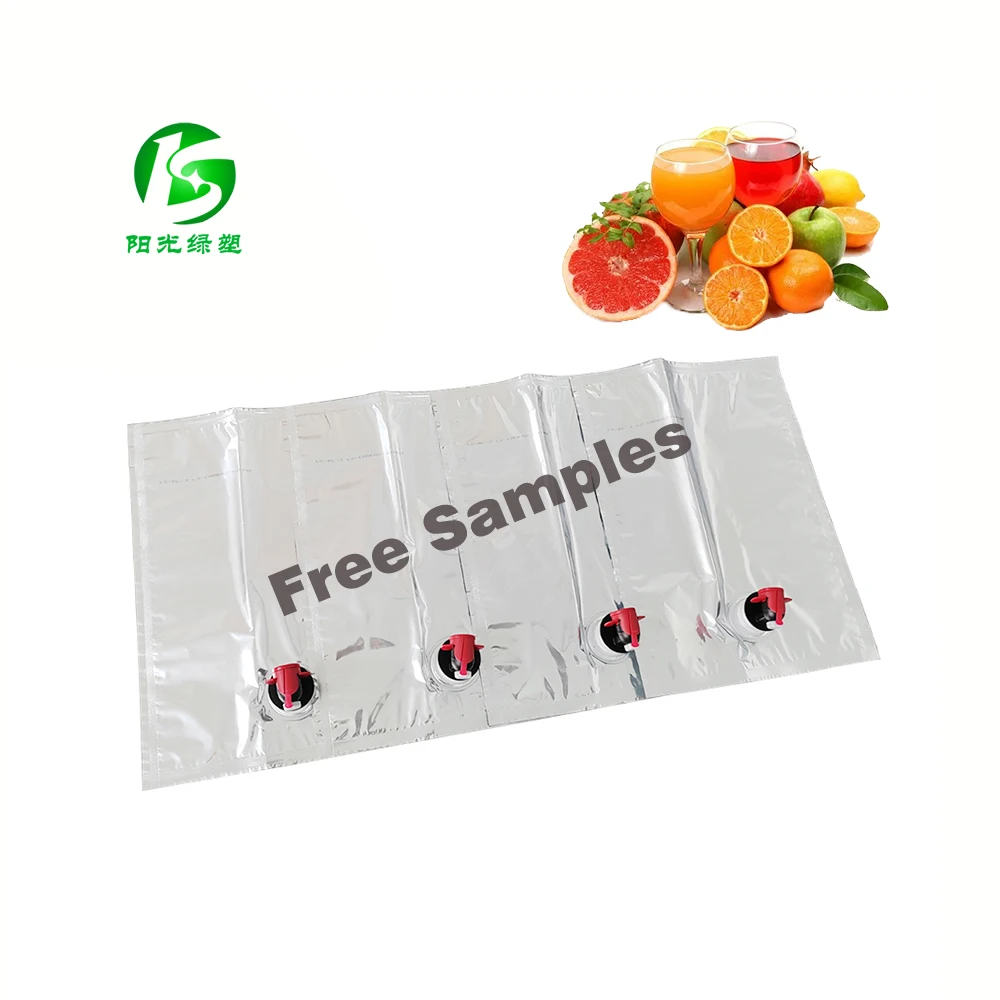 Bag In Box Fruit Juice Packaging With Dispenser 3 Liter Packaging Aseptic BIB Bag In Box