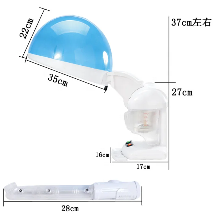 SY-FS100H 2 in 1 Family Use Hair Steamer and Facial Steamer Nano Mist