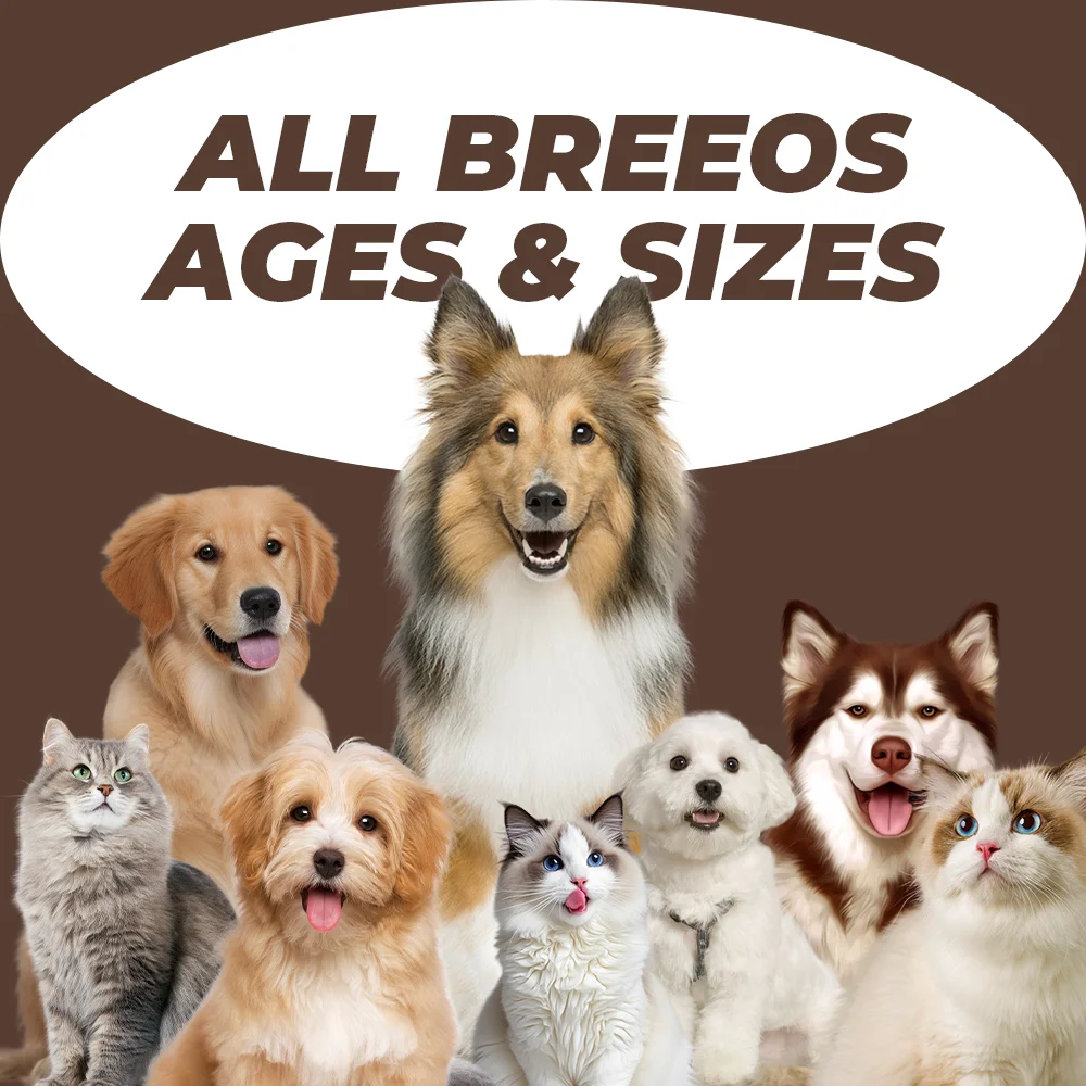 OEM/ODM High Protein 11-in-1 Muscle Gain Soft Dog Chews Premium Supplement for All Breeds Cats 11-in-1 Application Powder Form