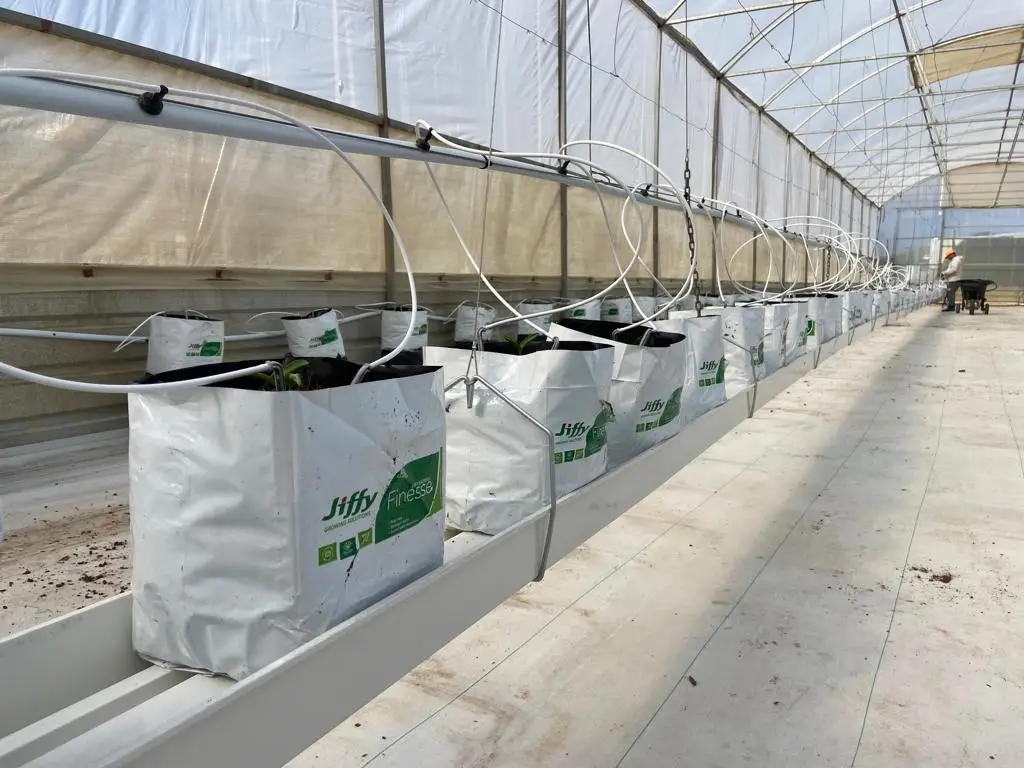industrial greenhouse gutter vertical farming PVC Gutter Planting Gully System for Tomato Cucumber Strawberry Hydroponics