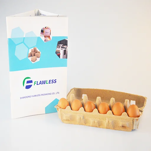 Изготовленная на заказ биоразлагаемая переработанная цветная бумага упаковка Pulp10 коробки для яиц картонная коробка