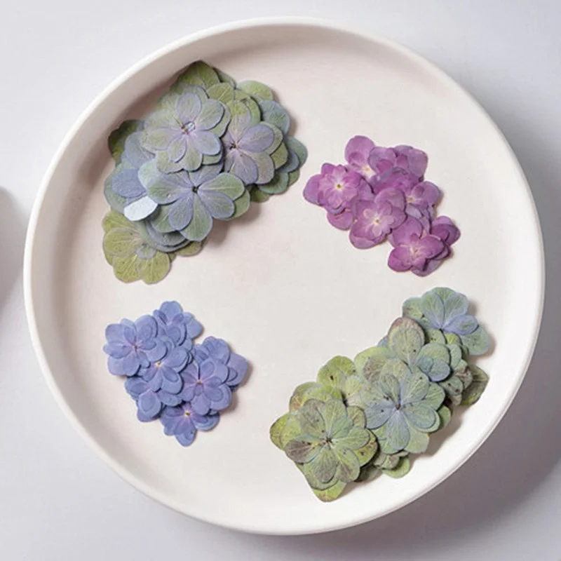 wholesale DIY material dried hydrangea pressed hydrangea flowers for resin Bookmark Jewelry Postcard and phone case decoration