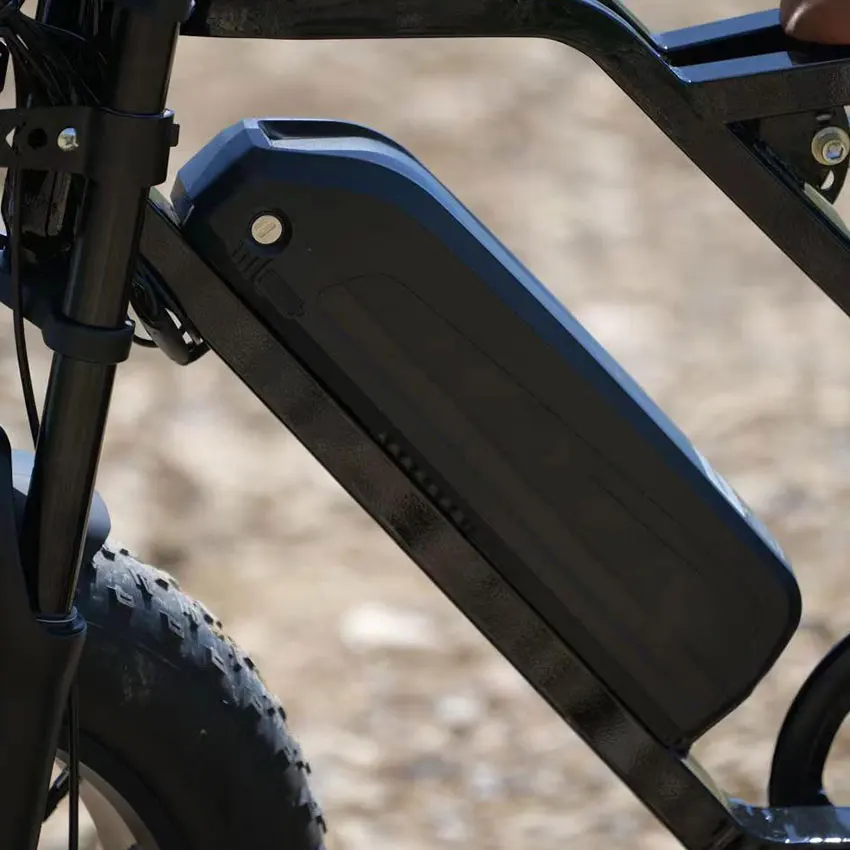 Factory Wholesale Fatbike 750W Electric Bike 20Inch*4.0 Fat Tire Electric Bike Full Suspension Electric Hybrid Bike