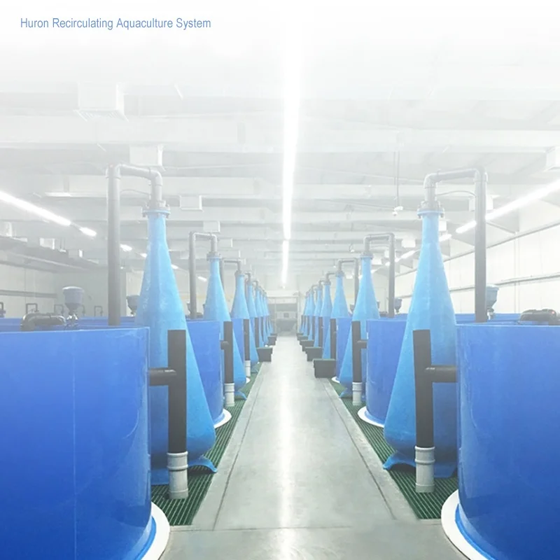 20ton ras aquaculture unit 100m3 catfish ras fish farming equipment price 100m3 ras fish farming