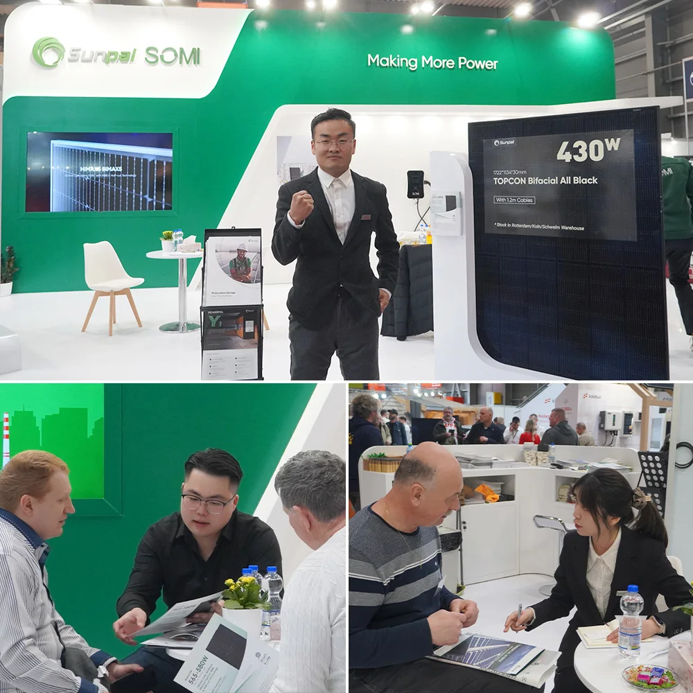 Goodwe Solar Hybrid Inverter 3Kw 3.6KW 3600W For Home Solar Wind Hybrid Power System