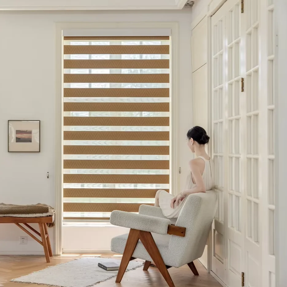 ZSTARR 2 Years Warranty Day Night Smart Automated Blackout Double Layer Fabric Window Blinds Shades  Zebra Blinds for House