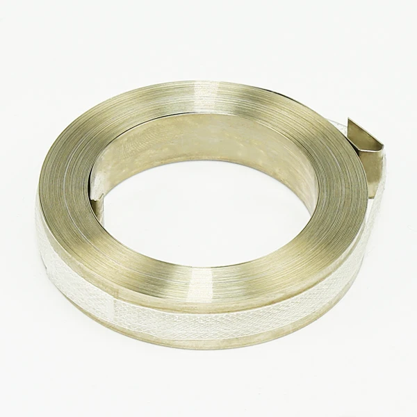 Stainless Steel 301 Spring Steel Plate Spiral Spring