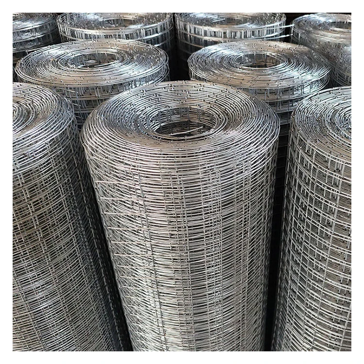 RTS 1/2Inch Galvanized Welded Iron Wire Mesh 19 Gauge Welded Wire Mesh Hardware Cloth for Garden Fence