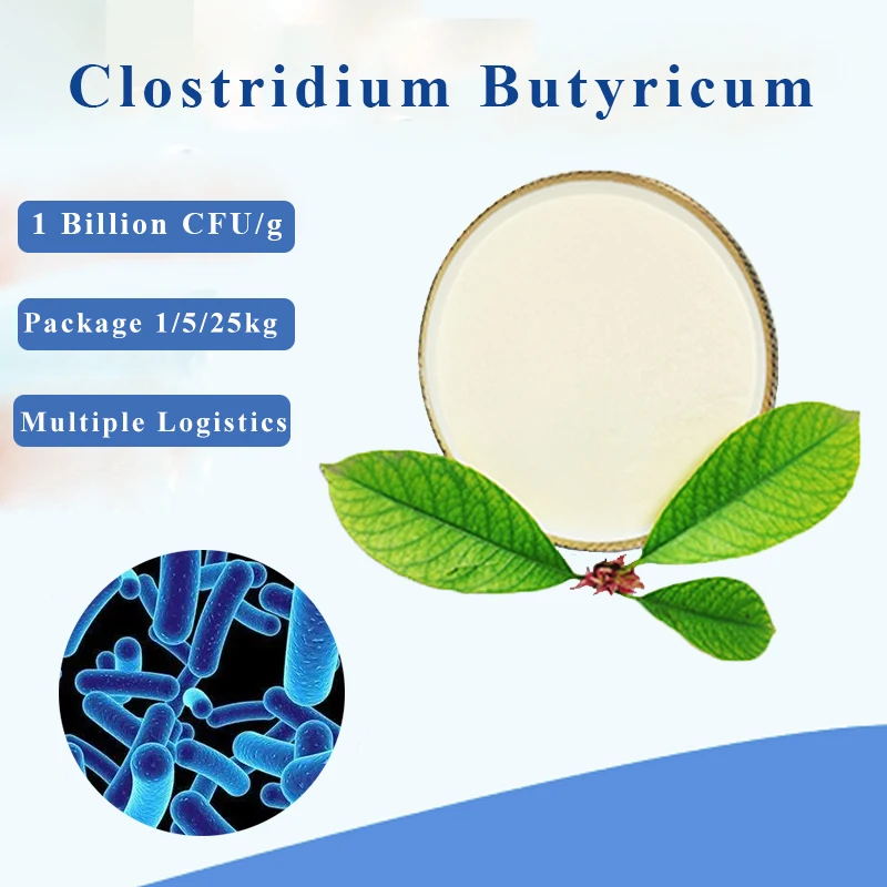 Hot Sale Supply Clostridium Butyricum Promote Health  Phytogenic Feed Additives Probiotic Powder Premix for Fish Sea Cucumber