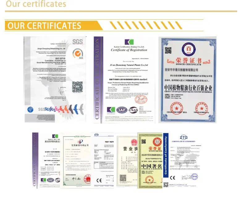 Wholesale Bulk Organic Cocoa Butter Manufacturer Raw Cocoa Butter Shea Mango Pure West Africa Cocoa Butter