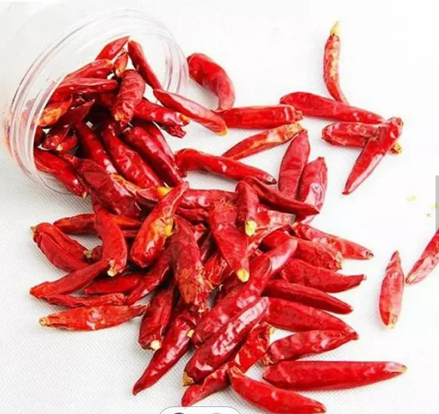 Free samples Dried Chili With High Quality