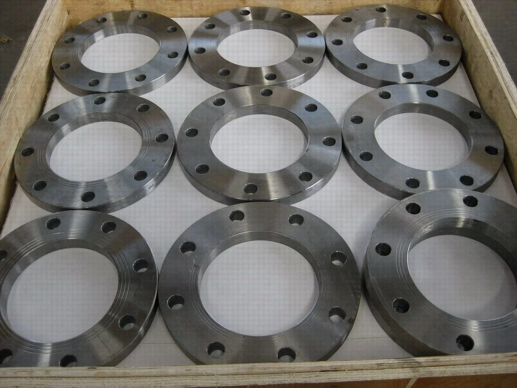 ASME 6in 900lb  A105 carbon steel forged FF plate flanges from China Tianlong