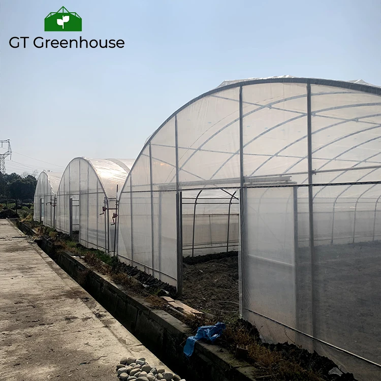 GT Outdoor Agriculture Commercial Plastic Film Tunnel Green House Metal Frame