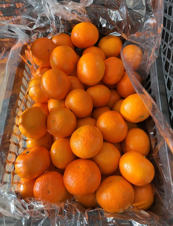 Factory New Citrus Orange New Crop Fresh Juicy Mandarin