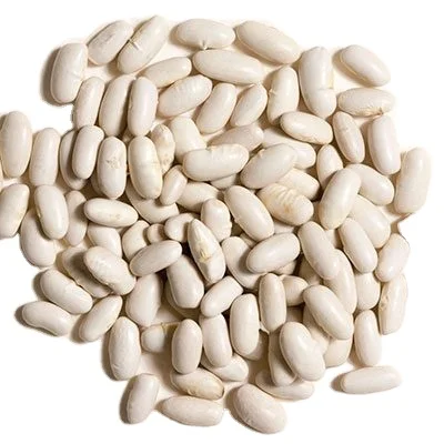 White Kidney Beans Wholesale Origin Turkey High Quality Bulk Package