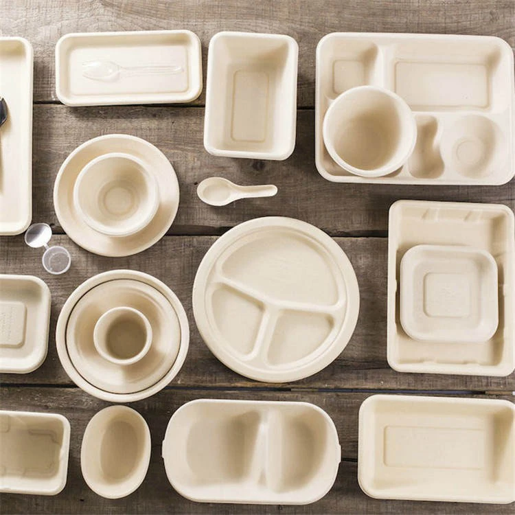 Biodegradable Disposable Sugar Cane Tableware Products Sugarcane Bagasse Food Container Packaging