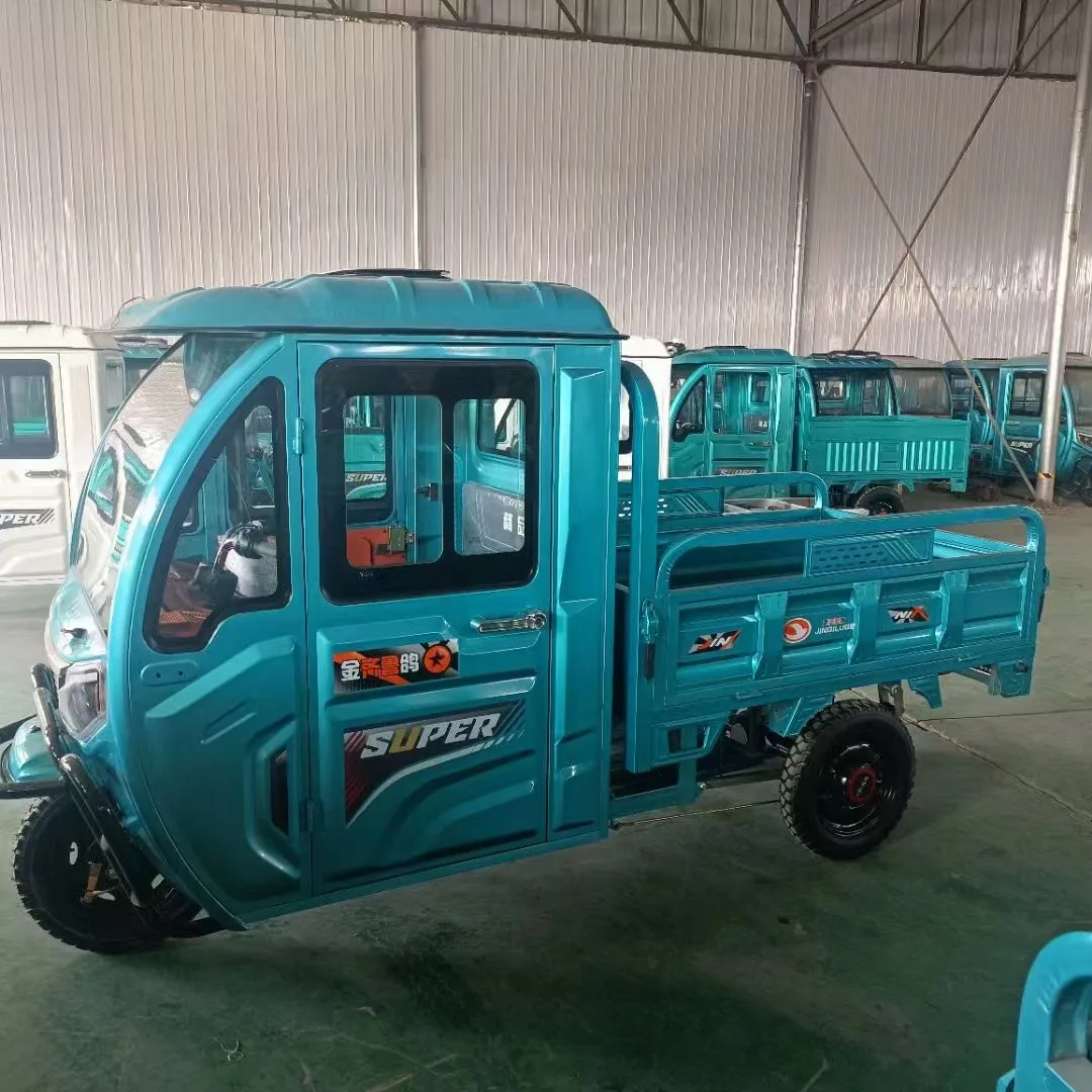 wholesale distribute adults tricycle cargo truck 800w/1000W 3 wheel electric cargo tricycle with cabin fat tire tricycle cargo