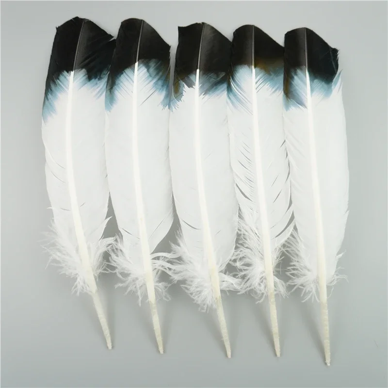 10Pcs/Bag Natural Eagle Feathers for Crafts Plume Headdress Accessories Holiday Decoration Carnival Feather DIY Handicraft Decor