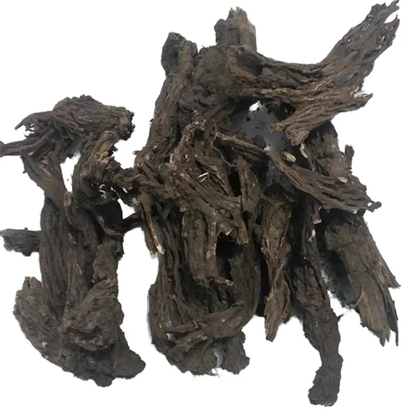 aconitum sinomontanum Roots  Chinese Herb Plants  Gaowutou Roots