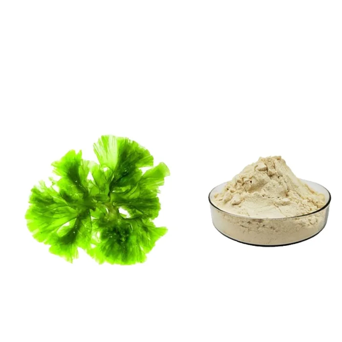 Omega 3 DHA fish oil power  Nature raw materials factory supplier