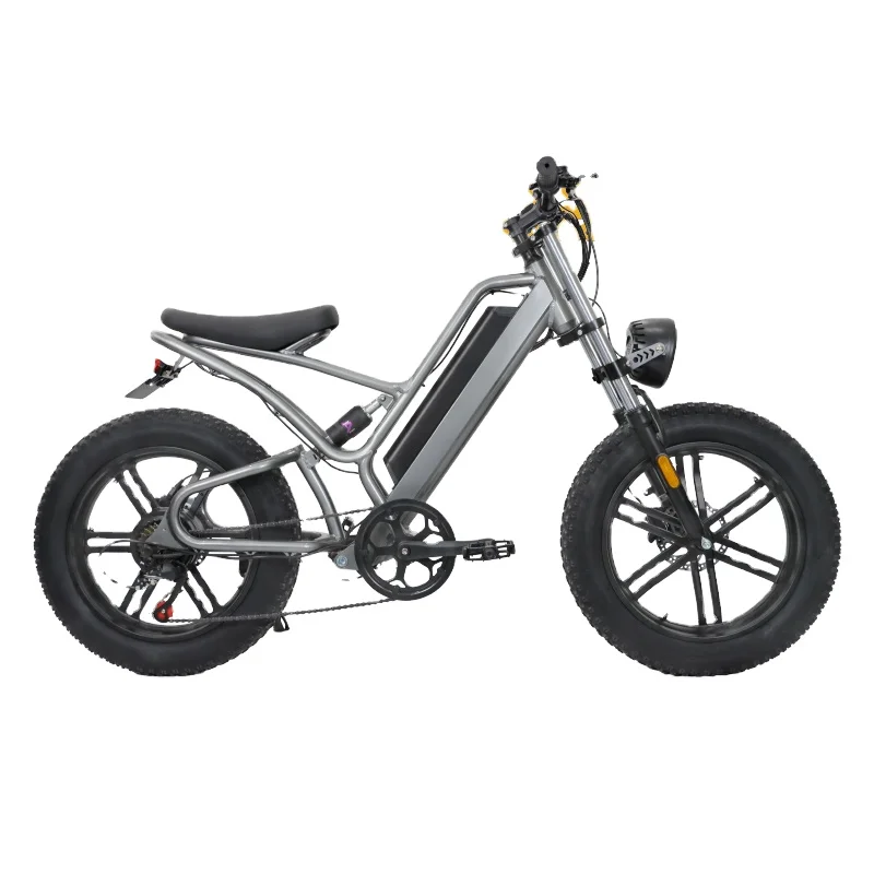 20 Inch Fat Tire All Terrain MTB 750W Electric Bike for outdoor