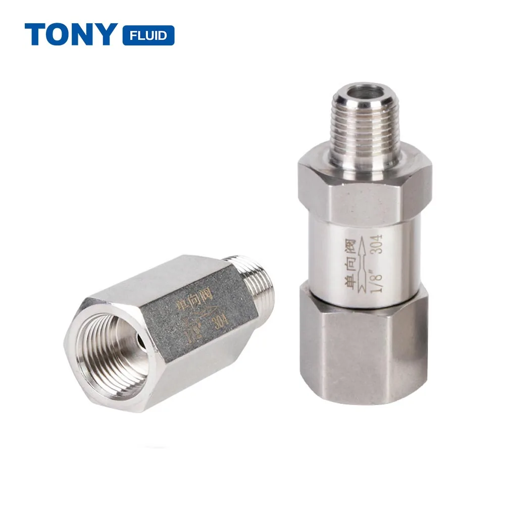 High Pressure 6000Psi SS304 SS316 Split Check Valve Male Female Non Return One Way Valve