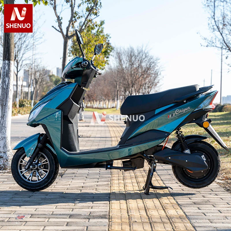 Wolf Warrior Three Generations 48V 1000W Electric Bicycle for Men and Women High-Powered Electric Motorcycles