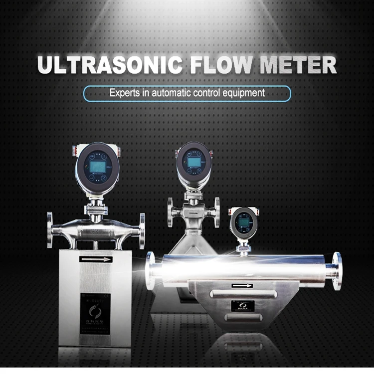 Sincerity Precision High Quality Portable Digital Coriolis Mass Flow Meter for Gases Coriolis Force -300~350 9031809090 CN;B