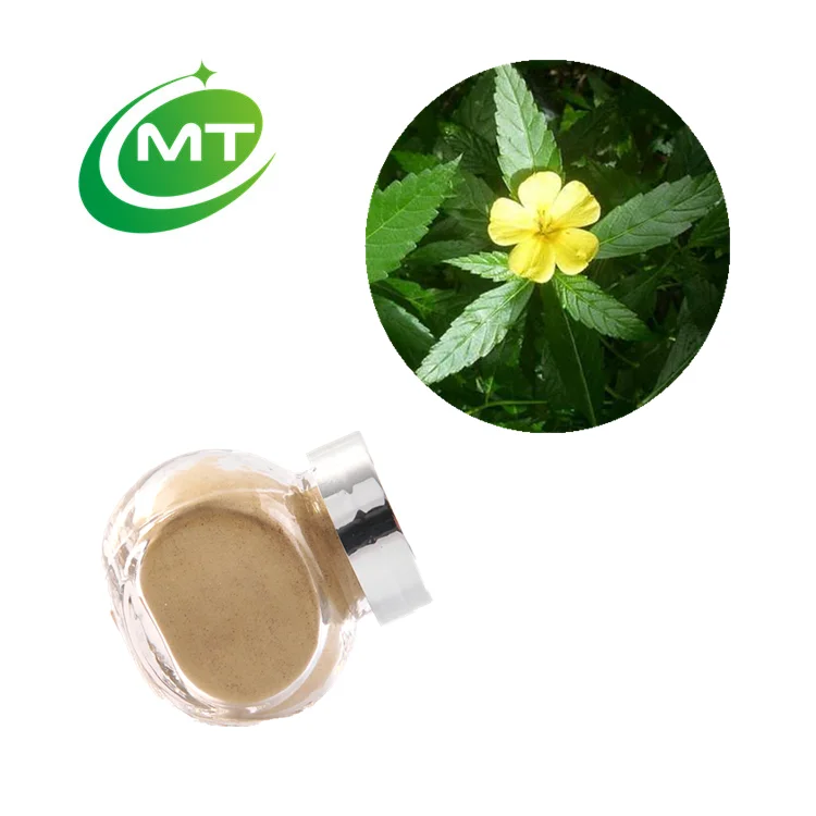 Organic 50:1 Turnera diffusa Damiana Leaf Extract