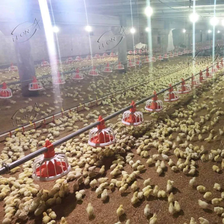 Dubai Prefab Poultry Farming Equipment Chicken Broiler Farm Animal Feeding System For Broiler Farms House Products