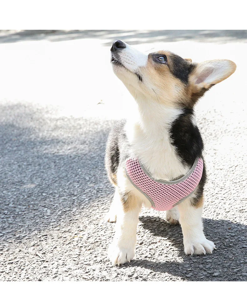 Designers Soft   Simple And Clean  Pet Vest Pet Mesh Harness Mesh Dog