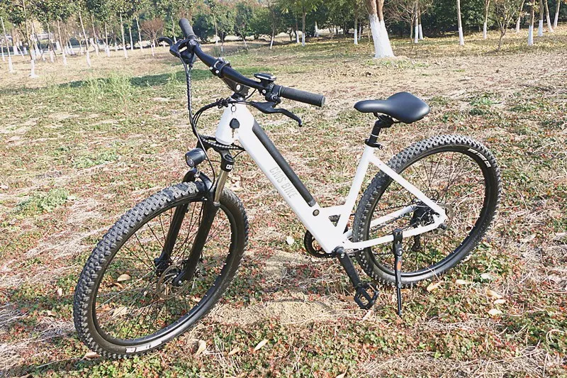 Hot Selling Bicycle EBF-2 Bike Electric Fat Bike. Kit