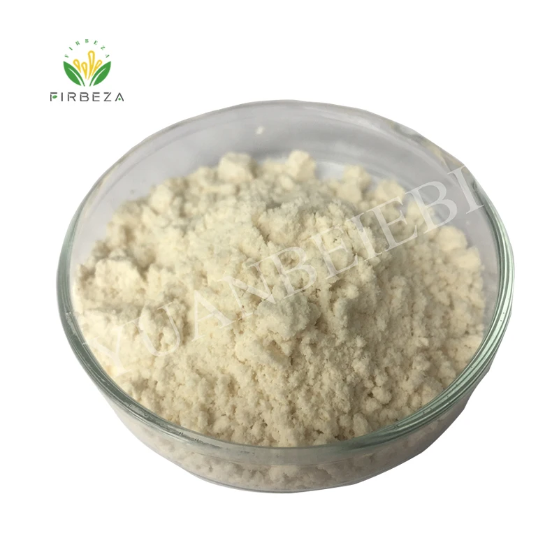 Good Price High Quality Bulk Rennet Casein Powder