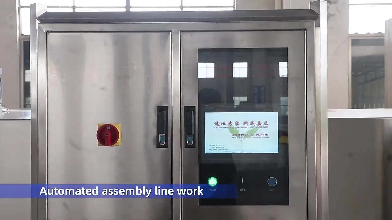 IQF Commercial Deep Freezer upright blast chillers and shock freezers for seafood