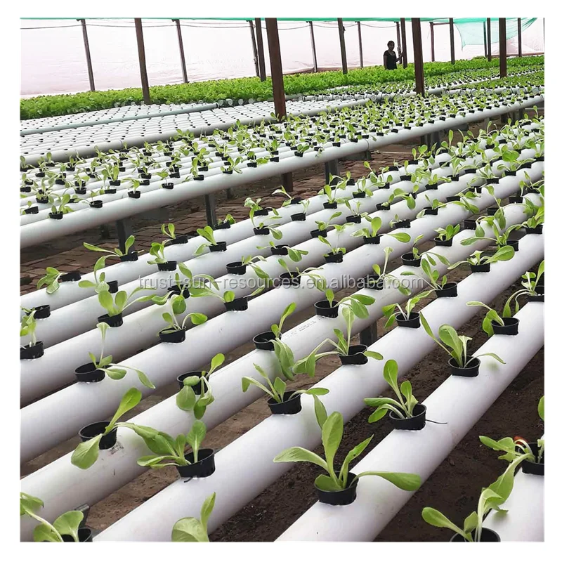 
PVC Farm Hydroponic Grow Systems for Agricultural Tomato/Salad/Strawberry Greenhouse 