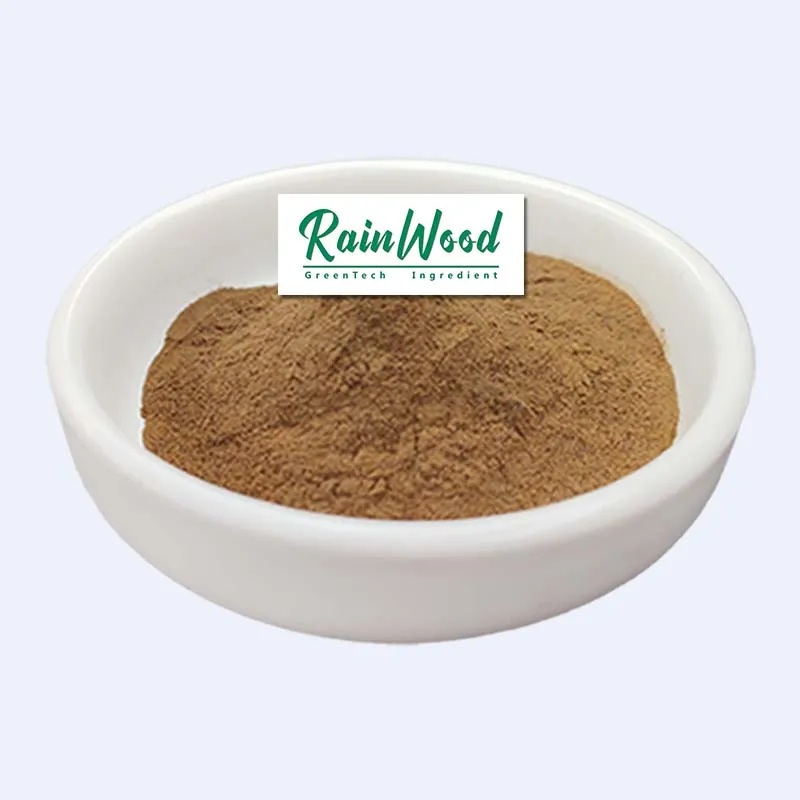 Поставка Rainwood 7 в 1 травяной порошок для грибов Maitake Cordyceps Reishi Chaga Львы грива смешанный с лучшим водорастворимым