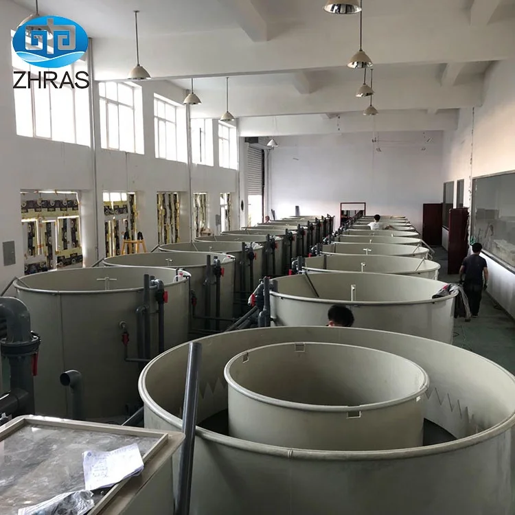 Cheap Complete Set For Ras Fish Farm Small Farming European Technology Ras Fish Farm System