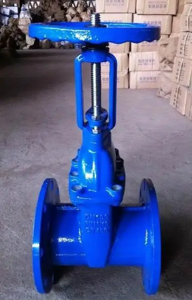 Ductile iron resilient seated rising stem flanged water gate valve manual operated PN16 DN100