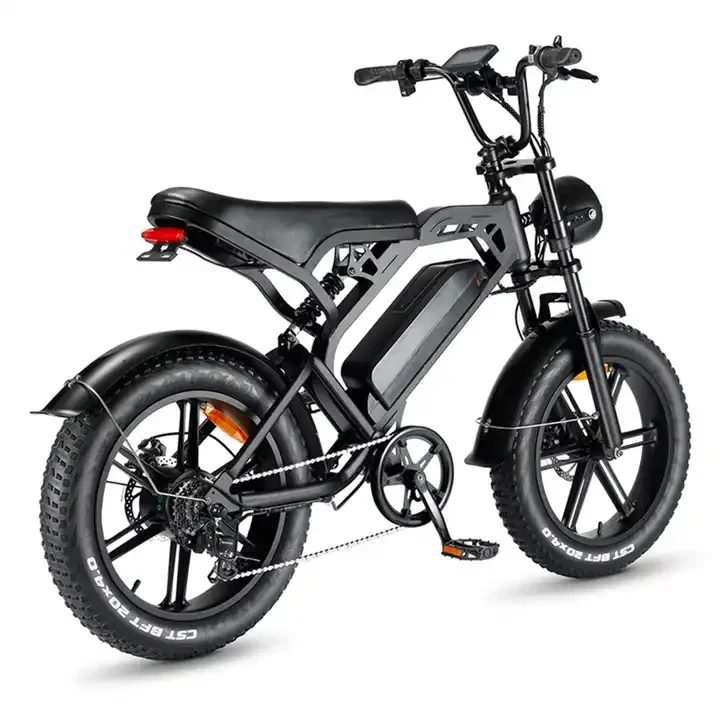 Low Price 7 Speed full power Motor Electric Bike 48V Off Road Electric Bike 31 - 60 Km Steel EU USA Adult 25km V20 Fatbike