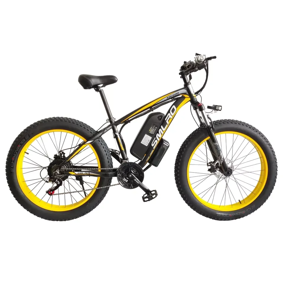 EU Wearhouse Electric Bicycle 21 Speed 48v 1000W City Dirt Mountain Ebike Manufacturer e Bicycle g