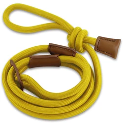 New Arrival Custom Step-in Leash 2 in 1 Dog Slip Rope Leash Harness Climbing Dog Rope Slip Lead Leash for Large Medium Dog Puppy