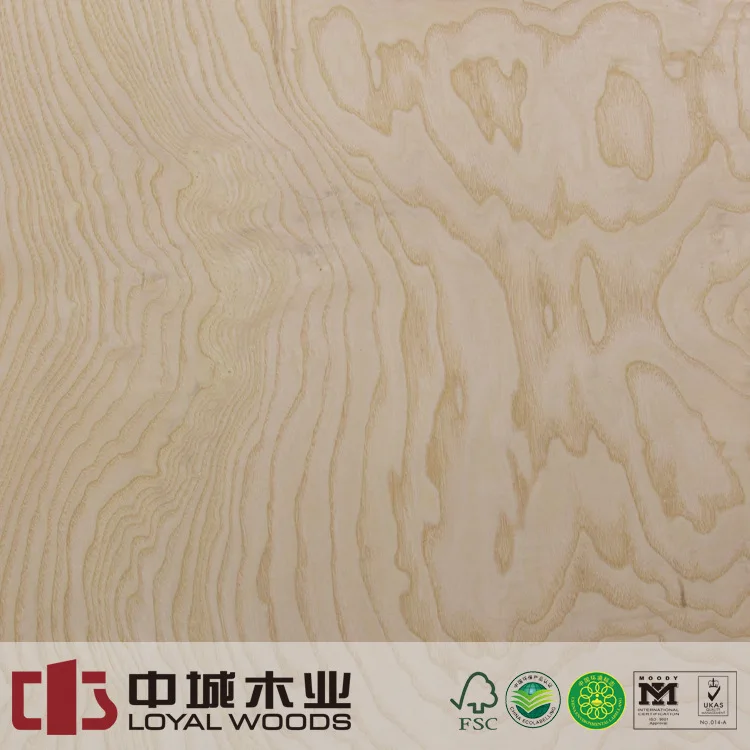 Natural White Ash Burl Veneer Wood Veneer for Interior Decoration House Furniture plywood