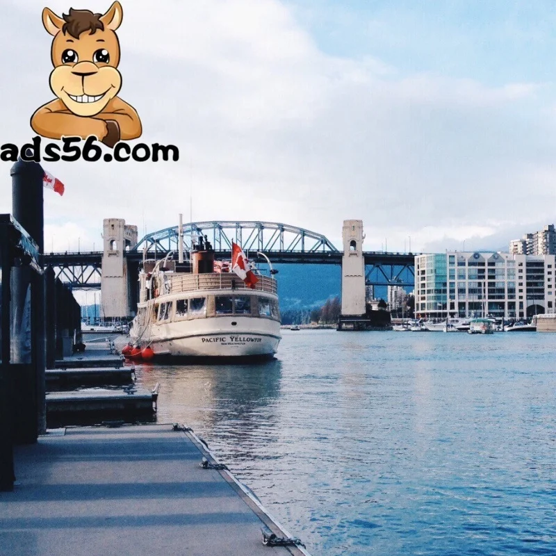 International Logistics Service Cheap Import Export Price Container Shipping Agent From China To Usa Canada--WeChat:14776463004